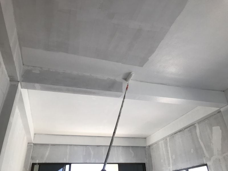House Ceiling Painting